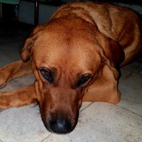 Sunay Uzun (@uzunsunay) Twitter profile photo