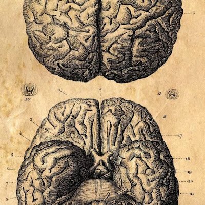 4iKdty89KFESLd3's profile picture. 