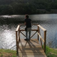 Alberto Fortes Novoa (@fortesnovoa) 's Twitter Profile Photo Alberto Fortes Novoa (@fortesnovoa) 's Twitter Profile Photo