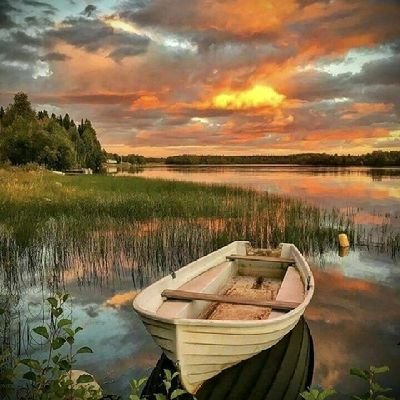 MuktarDchosen1's profile picture. Self motivator