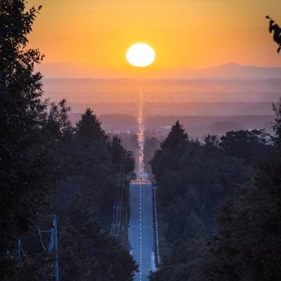 michaaaa008's profile picture. 死んだ時に顔晒されたくない。晒さないでほしい。