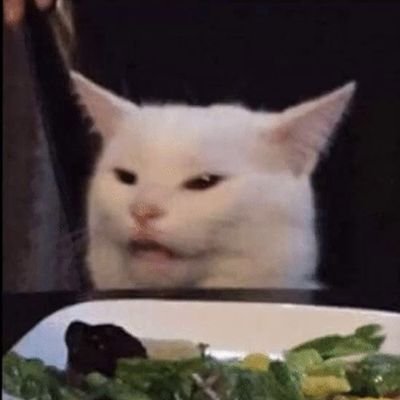 RWhep's profile picture. she/her. roomie official/lil pitchy and daniel thrasher fan. new to astrology but learning!