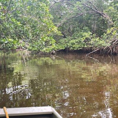 Florida guy just live life.