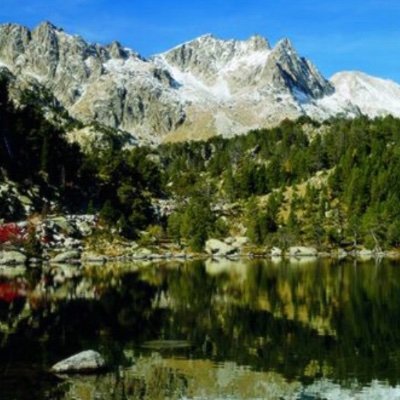 Parlo barceloní, lleidatà, tarragoní, gironí, alacantí, castellonenc, valencià, mallorquí, menorquí, eivissenc, formenterenc i pitiüsenc. Ni Noam Chomsky.