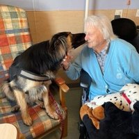 West Cork Animal Welfare Group Ltd. (@wcawgltd) 's Twitter Profile