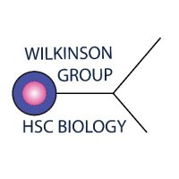 Wilkinson Group (@awilkinsongroup) 's Twitter Profile