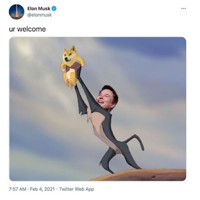 Elon Channel
