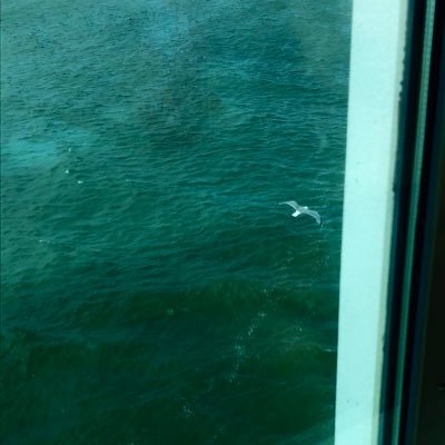 BrittaStoeckle's profile picture. 