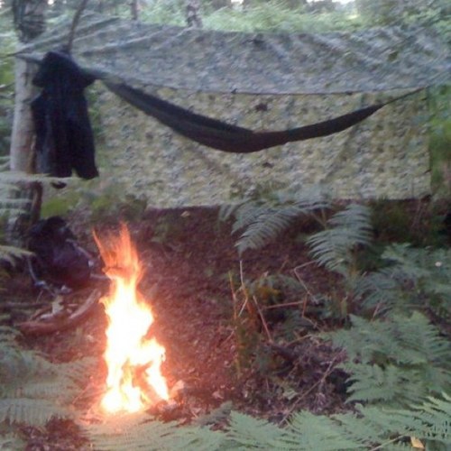 PignutDiaries's profile picture. 