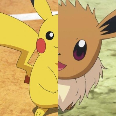 Pikachu and Eevee