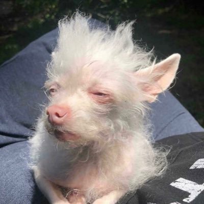 ____bam__'s profile picture. 