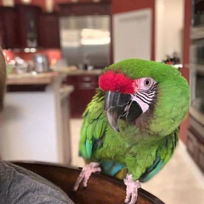 flavors_king's profile picture. Give to life the best so people say good about when you are no more