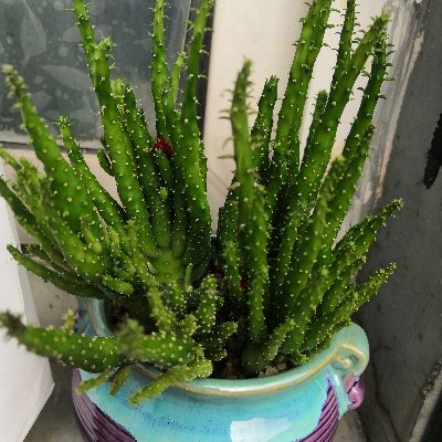 czJFqbHpMyrIeJM's profile picture. 你好