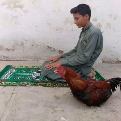 orang biasa