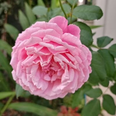 itool2000gmail1's profile picture. 