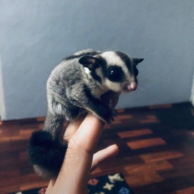 NURULZeira's profile picture. | Penang |