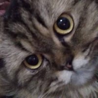 r (@rmmhmd22) 's Twitter Profile Photo r (@rmmhmd22) 's Twitter Profile Photo