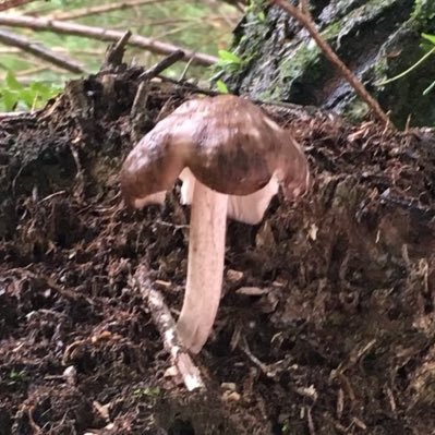 Kvg7D3's profile picture. ちば沼を堪能中のTwitter初心者です🔰 情報収集と、好きが溢れすぎた時の心の叫びを吐き出すためのアカウント。21.03.01FC会員👏 沼落ちというものが初めて故、失礼があったらすみません。