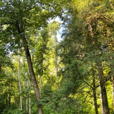 copper8373's profile picture. 