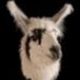 Jennifer Blankenship (@jennife26230421) Twitter profile photo Jennifer Blankenship (@jennife26230421) Twitter profile photo