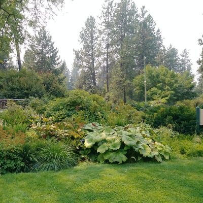 the_aaron_rusch's profile picture. 