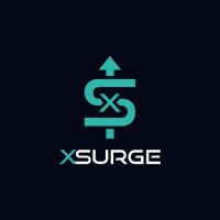 XSURGE - #BuyTheRise(@XSURGEDEFI) 's Twitter Profileg