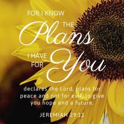 🇺🇸I am a child of God. 🙏God 1st always🙏. Mother of 5, grandma to 17. I try to honor God in all that I do. AWAKE, NOT WOKE!🇺🇸DM=BLOCK, unless I know you!
