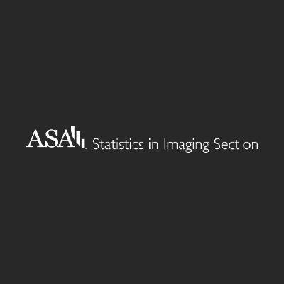 The ASA Statistics in Imaging Section