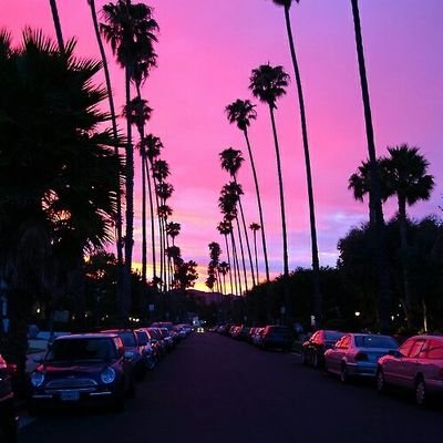 joez190's profile picture. $Zoot #zootoken #zooswap