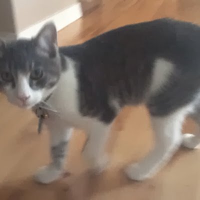 ToyJaeden's profile picture. 