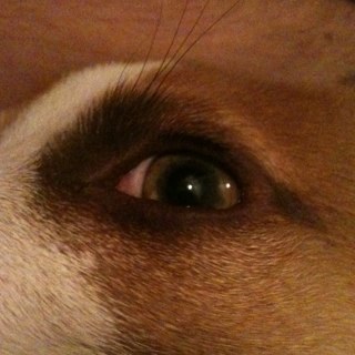 jezzarodway's profile picture. 