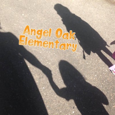 AstringerAOE's profile picture. 3rd Grade Teacher at Angel Oak Elementary