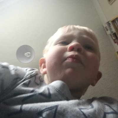 robertgreen88's profile picture. 