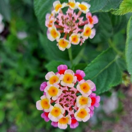 baoson79's profile picture. 