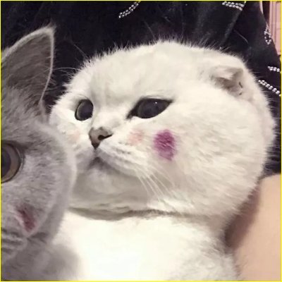 dhgdfh24007304's profile picture. 