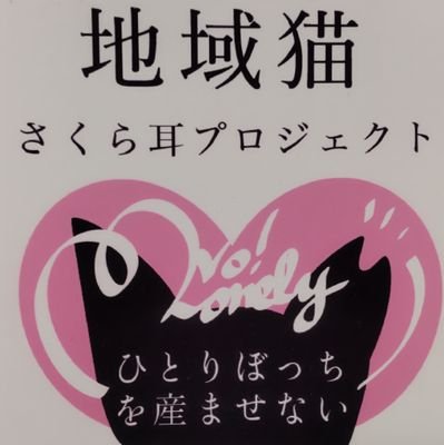 東京都足立区鹿浜で、野良猫問題に個人的に取り組んでいます。

ご連絡は直接📨ダイレクトメッセージで＊+゜

どうすれば上手くいくか?
日々、少しづつ考え、地道に活動して行きます(๑•̀ㅂ•́)و✧