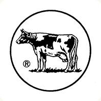 stalemate_YI's profile picture. 牛です