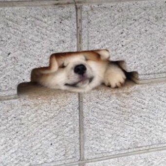 Emmillyon's profile picture. 普段はメイクと洋服、週末は旅行✈️🌍と美味しいものを食べるのが趣味のOLです😋 懸賞アカ 。LIKE👉コスメ💄 美容 お菓子🍫 洋服👗 カメラ📷 気持ちを込めて当選報告💕→#ぽんこつOLの当選報告🌈 RTのRT気にしません🙆‍♀️