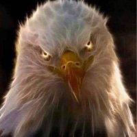 NM (@lapatriotunited) 's Twitter Profile