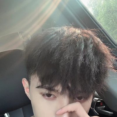twi180s's profile picture. 北京 S 180cm 60kg 43码 自己主动爬过来