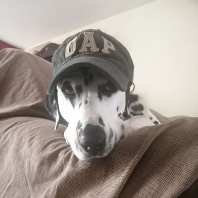 AlfredoBaltier3's profile picture. Por el pueblo, para el pueblo