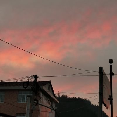 pingyin520's profile picture. Qing hua