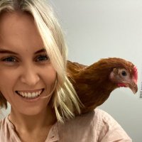 Megan Lucas (@pigmegan) 's Twitter Profile