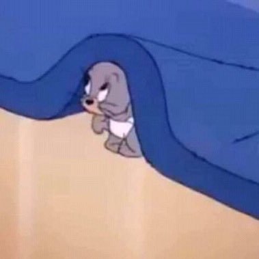 meowmeowbooboo's profile picture. 𝙡𝙠𝙡 𝙮𝙨𝙝 𝙠𝙙𝙣 𝙝𝙨𝙬 𝙠𝙬𝙨 𝙘𝙨𝙮 𝙨𝙜𝙨 𝙗𝙠 ꕤ