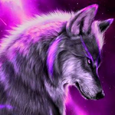 RajathKarmaran's profile picture. 