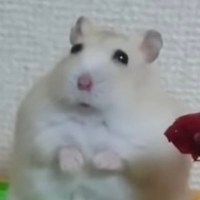 GO‼️ヤルキナシ秘密結社 セカンドシーズンさんのプロフィール画像