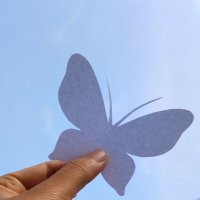 🦋ผีเสื้อตัวนี้🦋 (@ppbutterfly31) 's Twitter Profile Photo 🦋ผีเสื้อตัวนี้🦋 (@ppbutterfly31) 's Twitter Profile Photo
