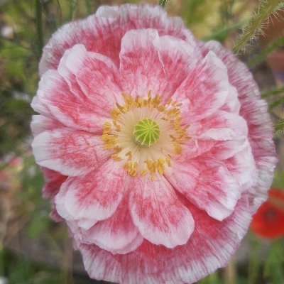 co76997388's profile picture. 