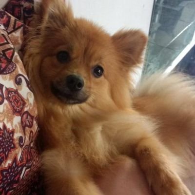 santip176's profile picture. 