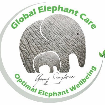 Global elephant care consultant.Elephant care consultant at Dublin zoo,.🐘BIAZA award winning presenter(Twice)specialist Advisor forhttp://carefortherare.com.